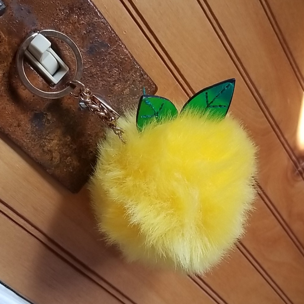 Key chain